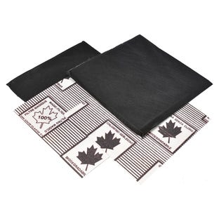 Filtre à charbon (2pcs) ATAG ACC914