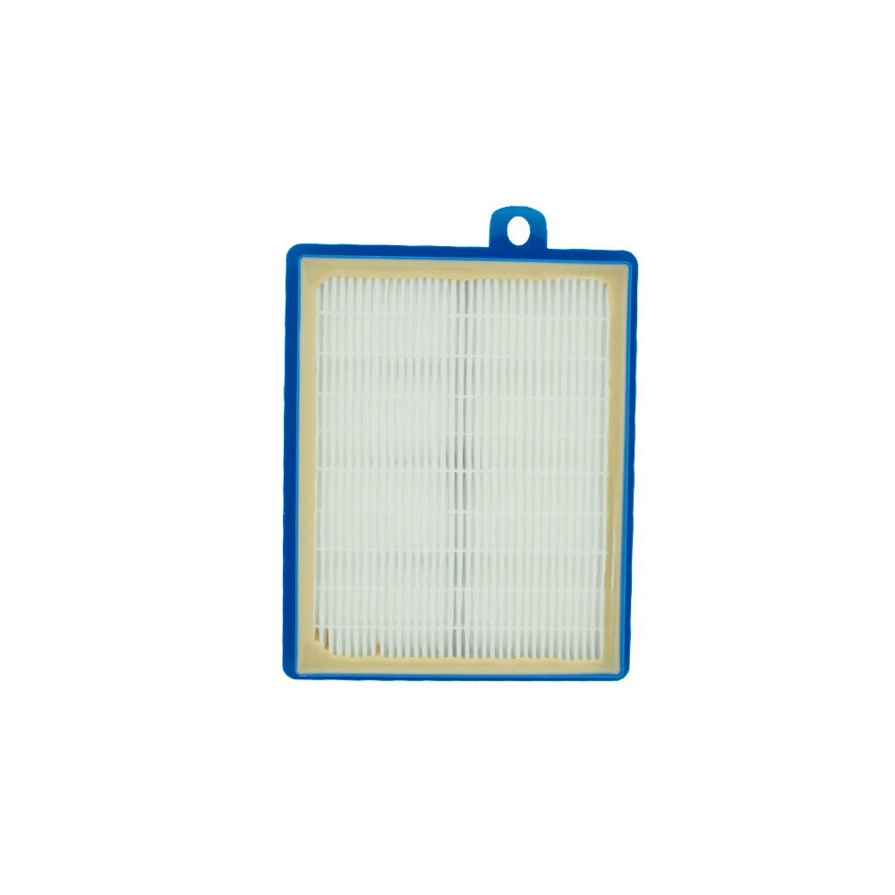 Filtre AEG Allergy Plus® pour Aspirateur AFS1W / ErgoSpace / UltraOne