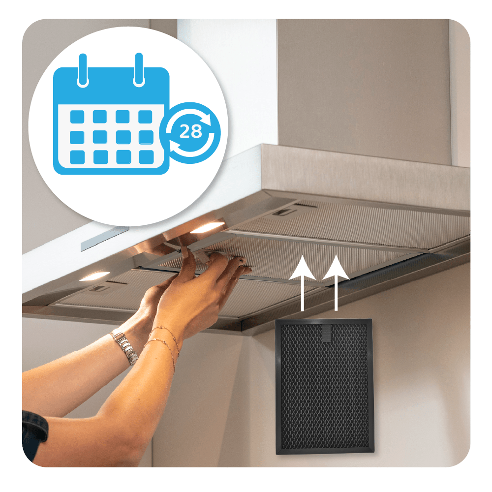 Filtre à charbon régénérable compatible avec Electrolux 140237131010