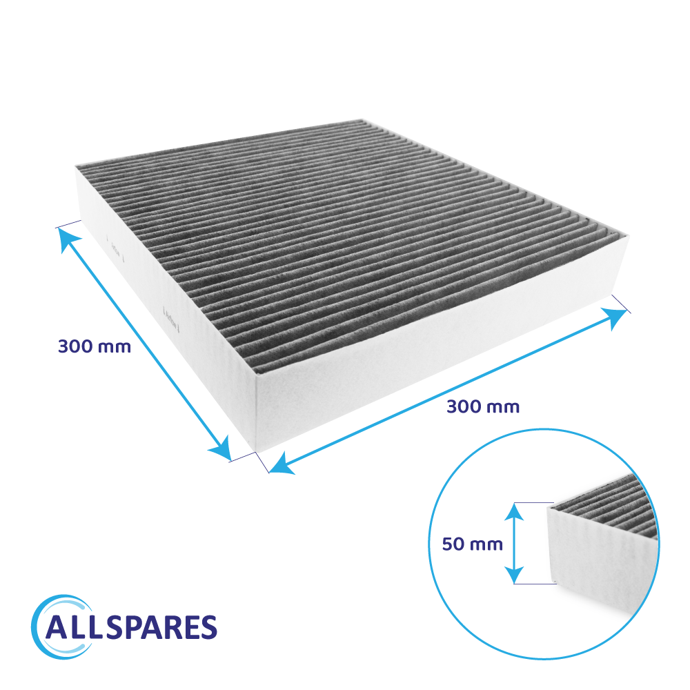 Filtre à charbon actif compatible avec Oranier P300