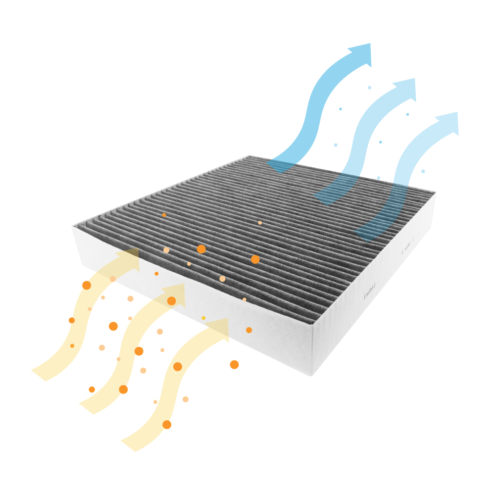 Filtre à charbon actif compatible avec Oranier P300