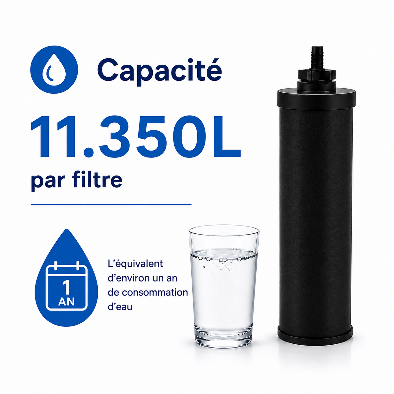 Filtre à eau AllSpares (2pcs) pour système de filtration par gravité AS-WD010