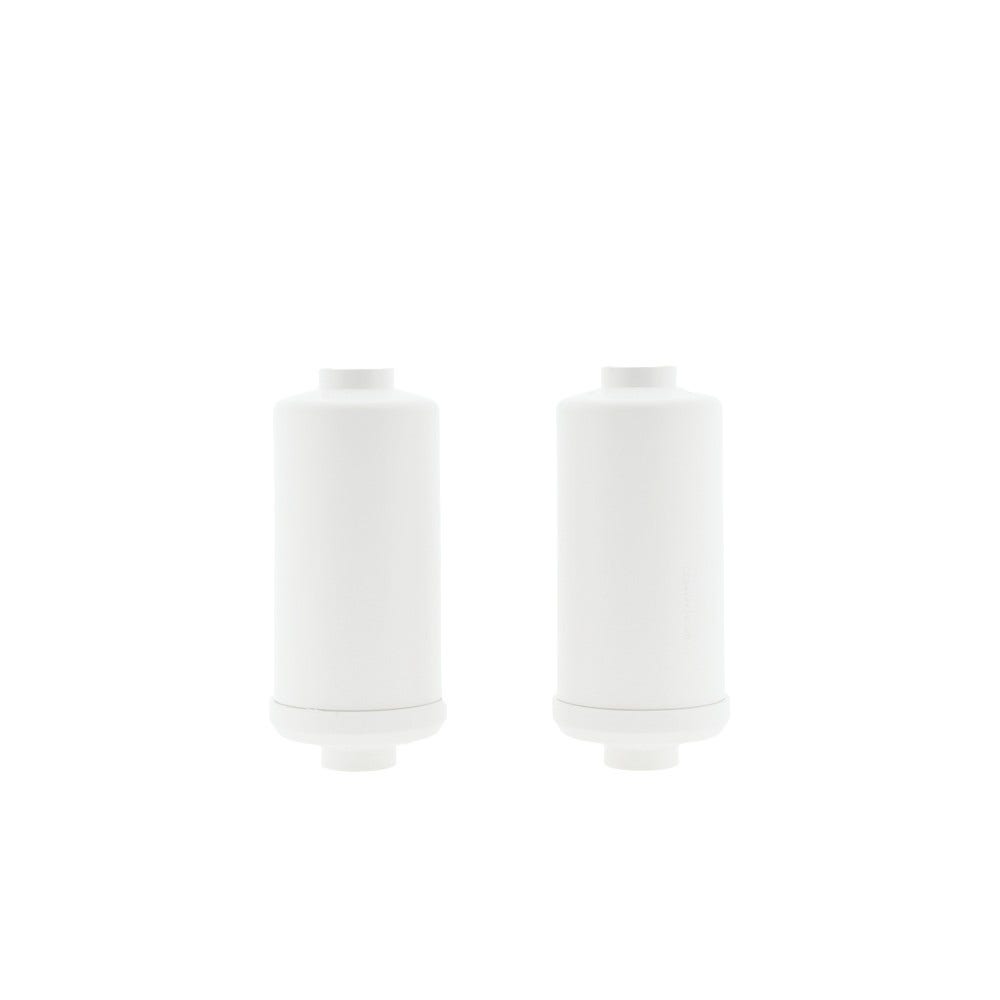 Filtre à eau pour fluor et arsenic (2pcs) AllSpares pour système de filtration par gravité AS-WD010