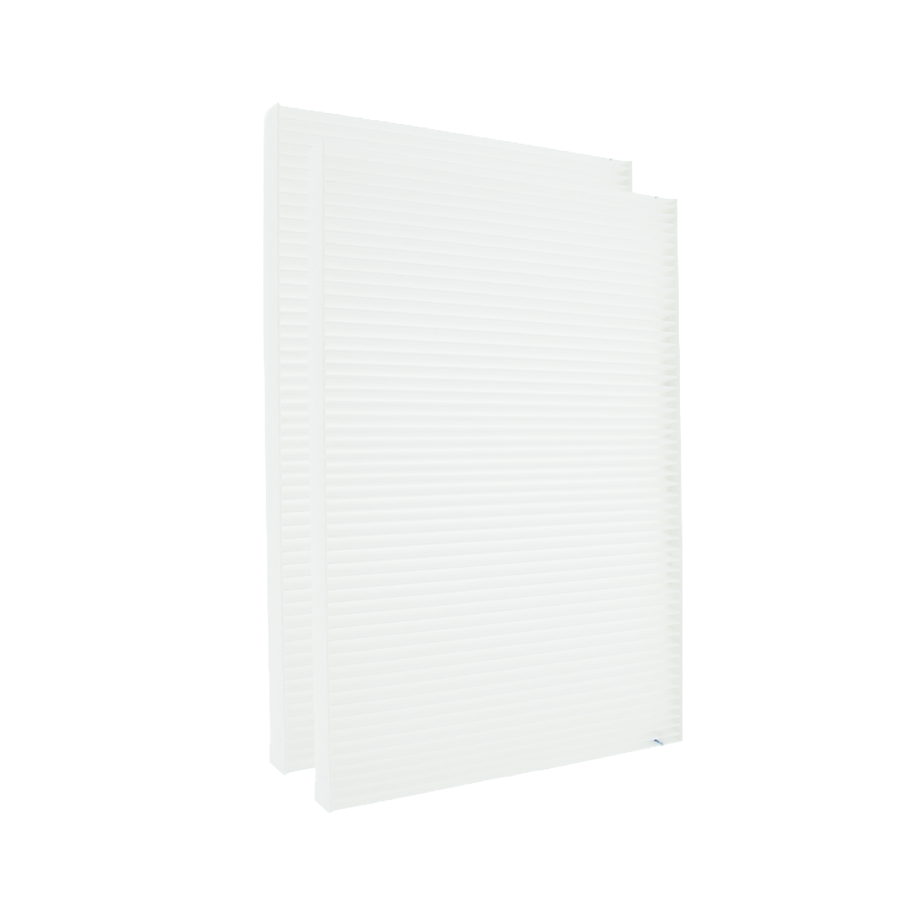 Filtre G4 compatible avec Paul Focus 200/F200 (2 pièces)