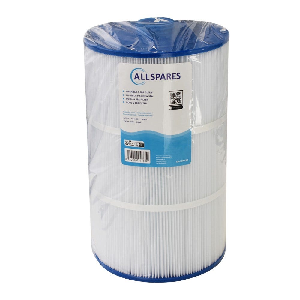 Filtre pour spa Sundance MicroClean 6540-501 / 80801 / SC722