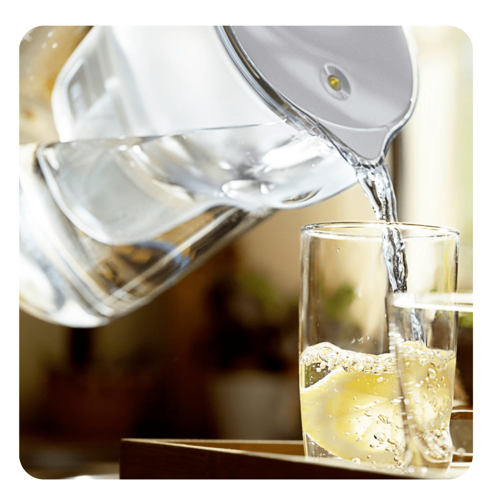 BRITA lot de 2 cartouches filtrantes MAXTRA PRO PURE PERFORMANCE (filtre aussi les PFAS)