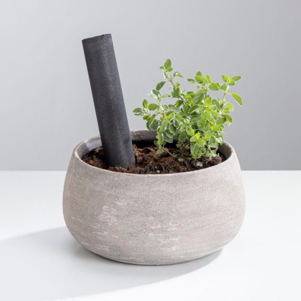 Cartouche compostable éco-responsable WPRO EFC002 /C00852783