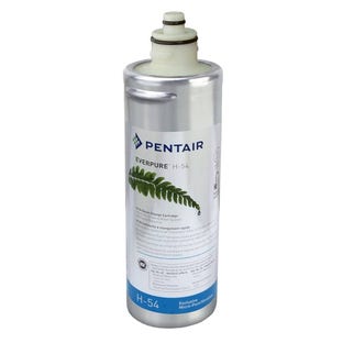 Cartouche filtrante Everpure H-54 / EV973006 / EV9630-06