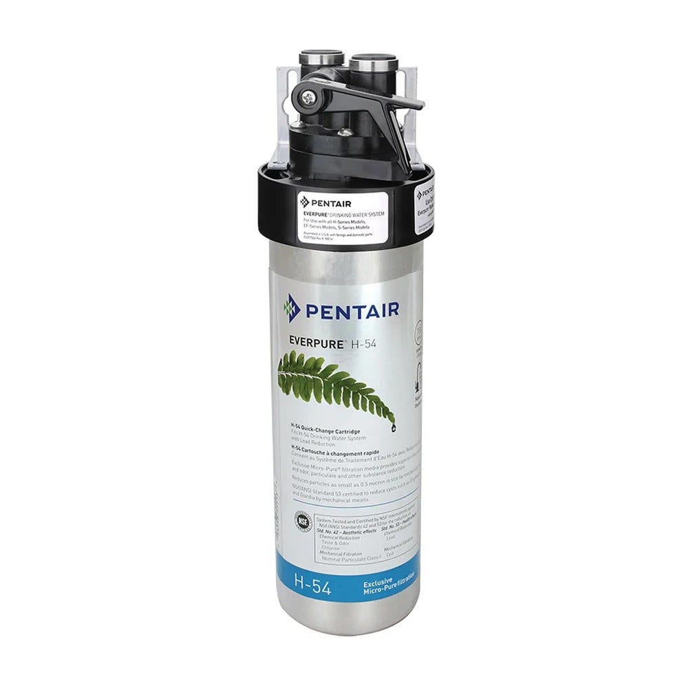 Cartouche filtrante Everpure H-54 / EV973006 / EV9630-06