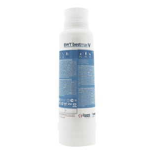 BWT Bestmax V Cartouche Filtrante