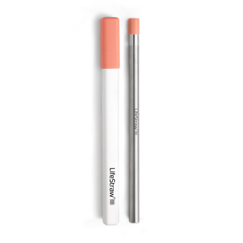 Paille Filtrante en Acier Inoxydable LifeStraw Sip– Rose Abricot