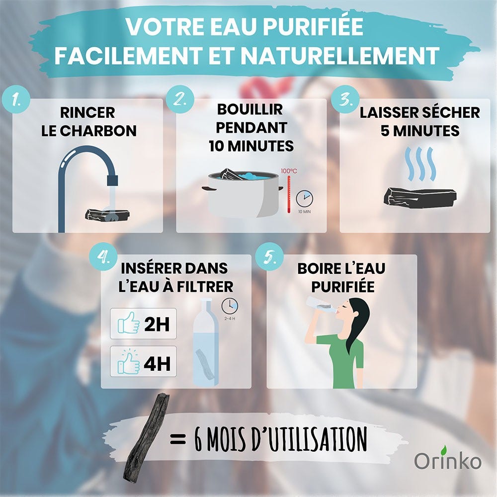 Charbon actif de purification (5pcs) Binchotan Japonais de Kishu Bio Authentique (Certifié)