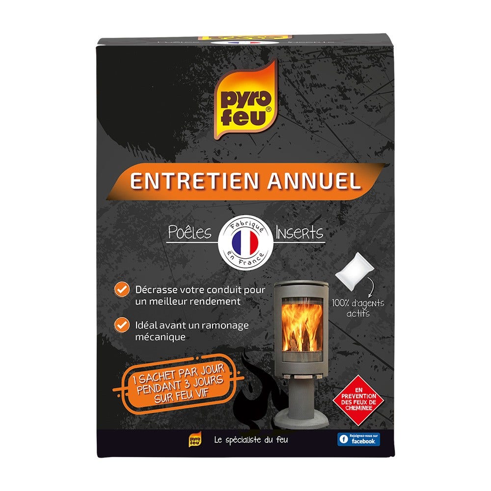 Entretien Annuel Bois Charbon pour Poêles & Inserts 