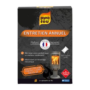 Entretien Annuel Bois Charbon Pyrofeu