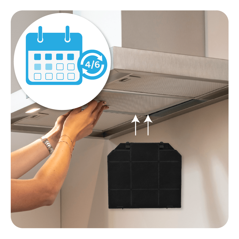 Filtre à charbon compatible avec Scholtes HM3...