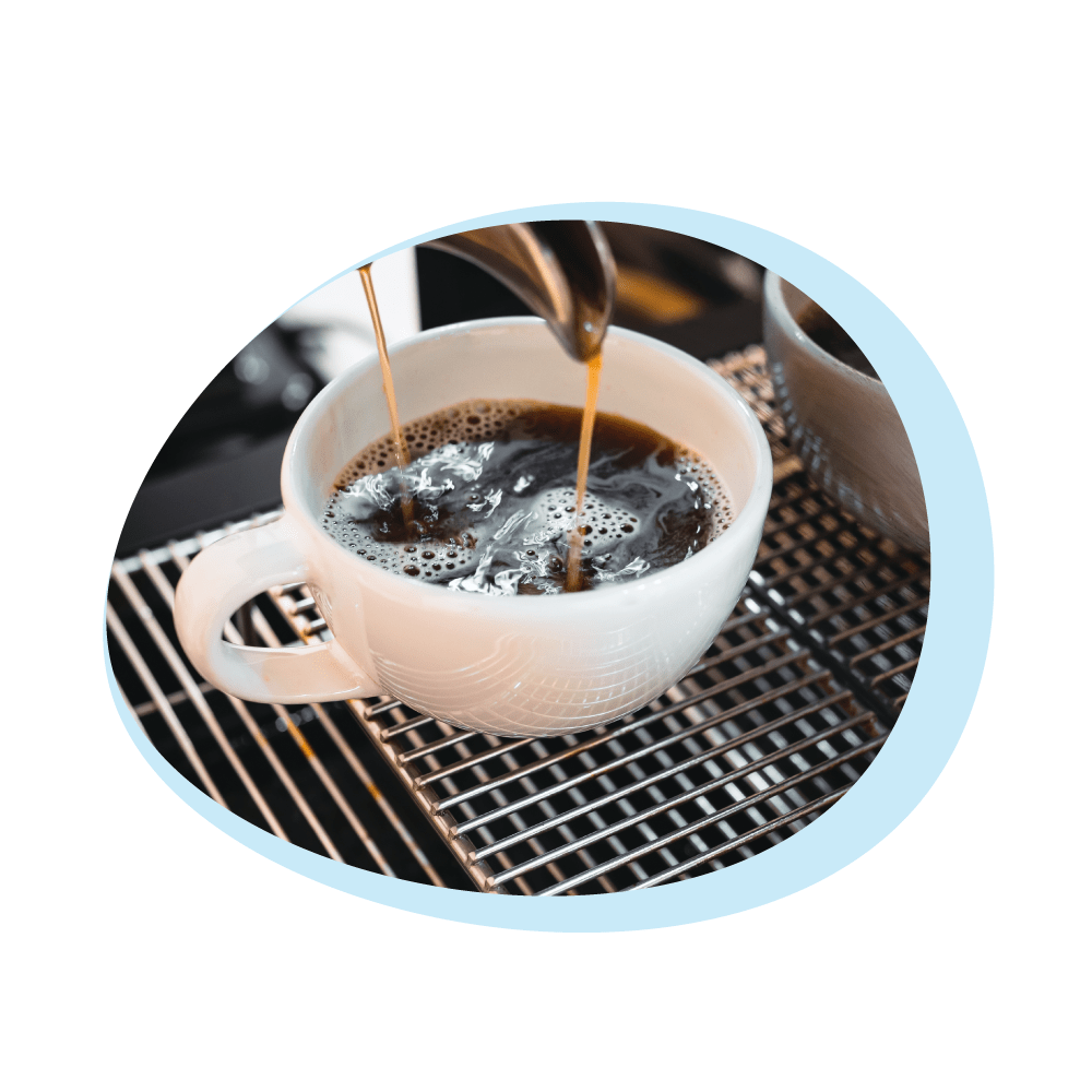 Détartrant liquide (250 ml) convient à Nespresso