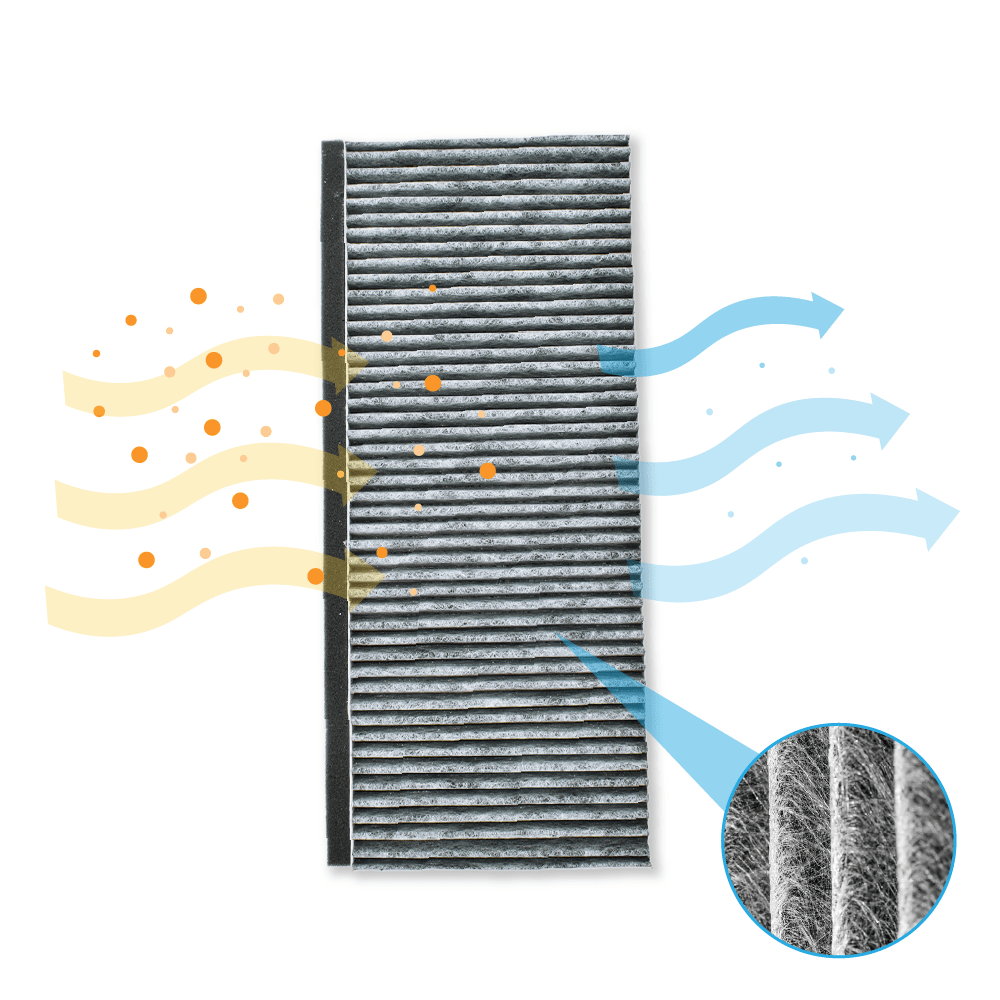 Filtre à charbon convient pour Blaupunkt CleanAir 17006837