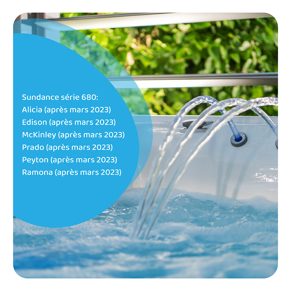 Filtre pour spa compatible avec Sundance Micro Clean Mini / 6473-283S