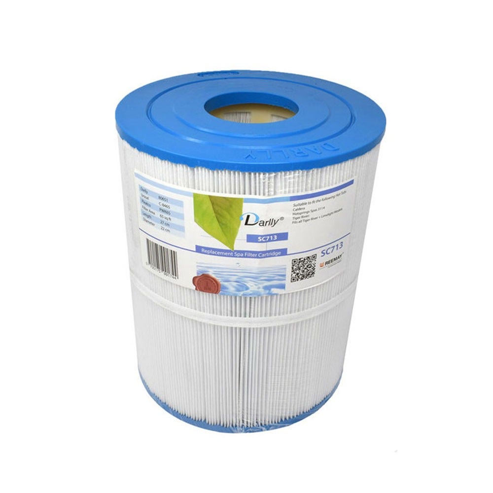 Filtre pour spa Darlly SC713 / 80651 / C-8465