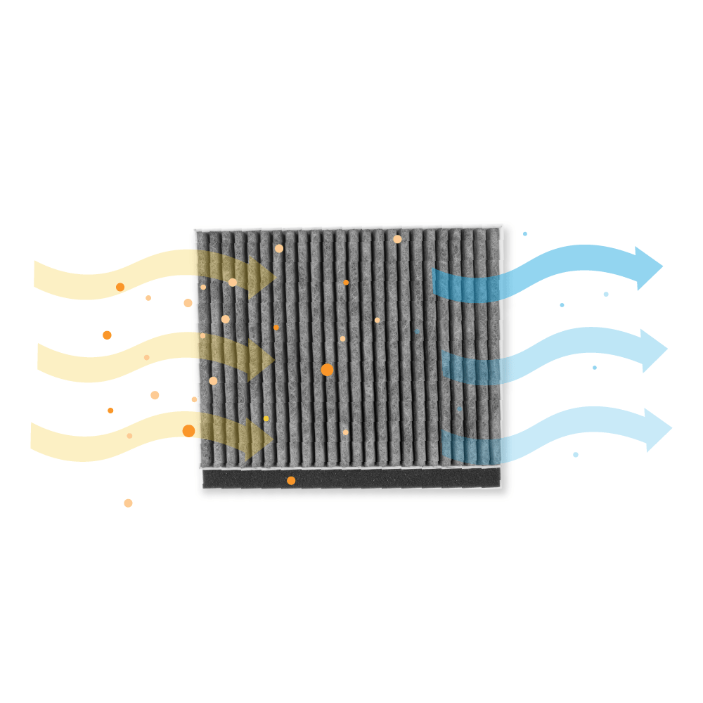 Filtre à charbon d'origine Blaupunkt CleanAir 17006595